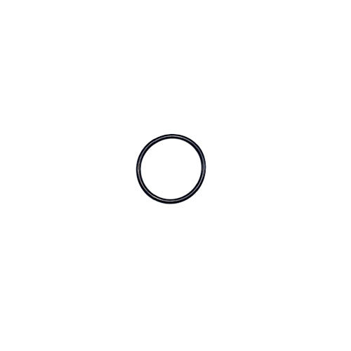 Pentair 154492 2" Bulkhead O-Ring