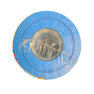 APCC7026 Pool /Spa Filter